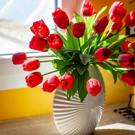 בית נופש Il Panoramico - Terrazza E Jacuzzi