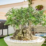 Il Panoramico - Terrazza E Jacuzzi Casa vacanze Neviano