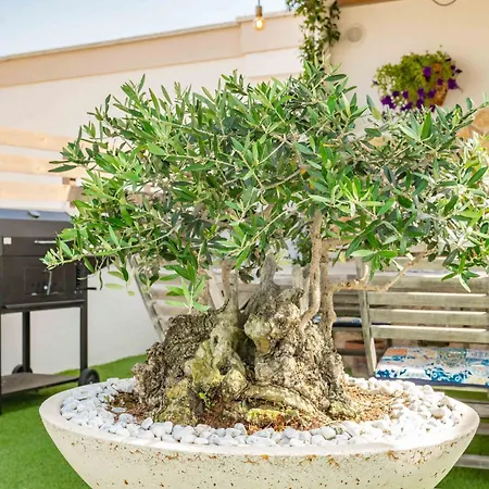 Il Panoramico - Terrazza E Jacuzzi Prázdninový dům Neviano
