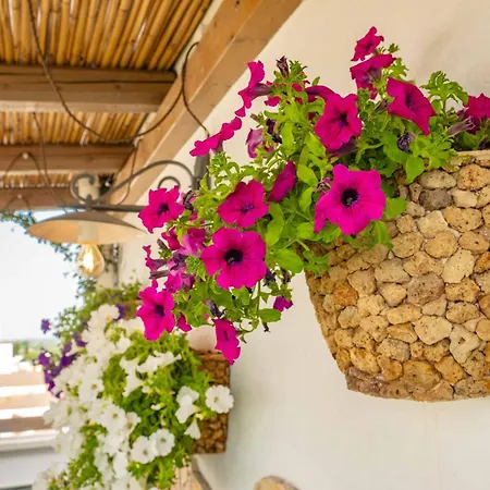 Il Panoramico - Terrazza E Jacuzzi *