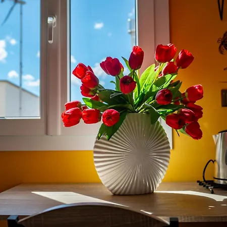 Semesterbostad Il Panoramico - Terrazza E Jacuzzi Neviano